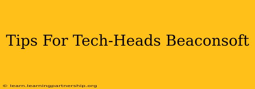 Tips For Tech-Heads Beaconsoft